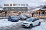 BYD코리아, 설 맞이 무상점검 서비스 ...연휴 전후 8일간